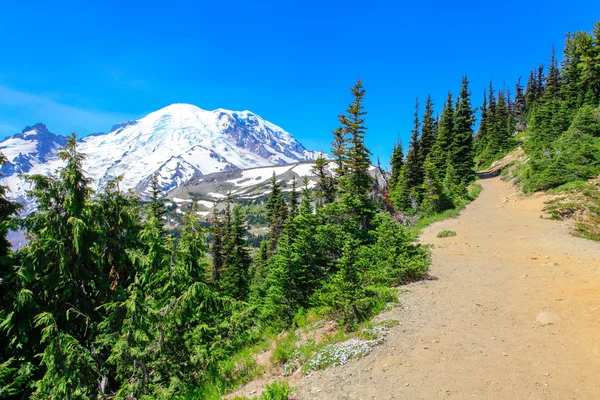 Summer Hike at Mount Rainier National park with view of Mt.Rainier. — Stock Photo, Image