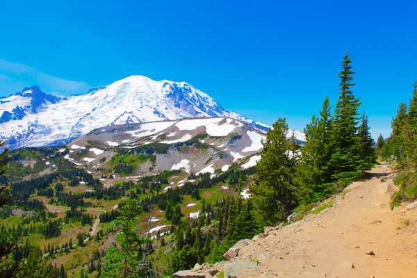 Summer Hike at Mount Rainier National park with view of Mt.Rainier. — Stock Photo, Image