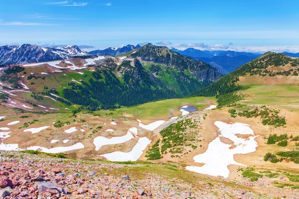 夏のハイキング Mt.Rainier 観とマウント ・ レーニエ国立公園で. — ストック写真