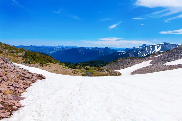 Zmrazit jezero tání národní Park Mount Rainier — Stock fotografie