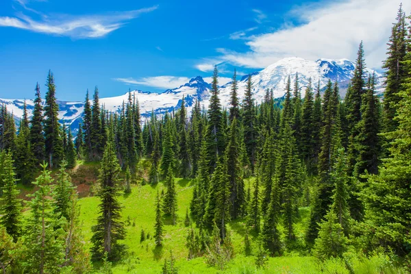 Caminhada de Verão no Parque Nacional Mount Rainier com vista para o Monte Rainier . — Fotografia de Stock