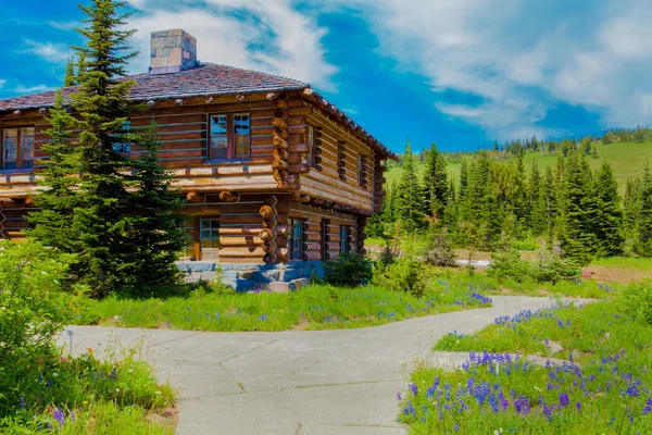 Washington, USA, July 29, 2012 Sunrise Visitor Center. Beautiful wooden house on meadow Mt. Rainier national Park — Stock Photo, Image