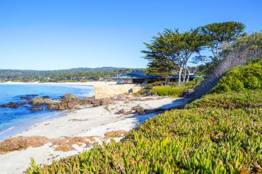 Plaj. Seattle kuzey kuzeybatı Pasifik. 