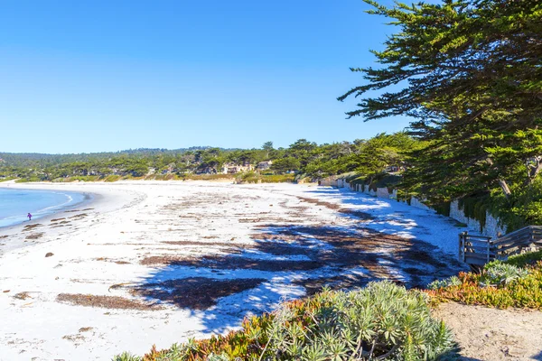 Praia. Noroeste do Pacífico a norte de Seattle . — Fotografia de Stock