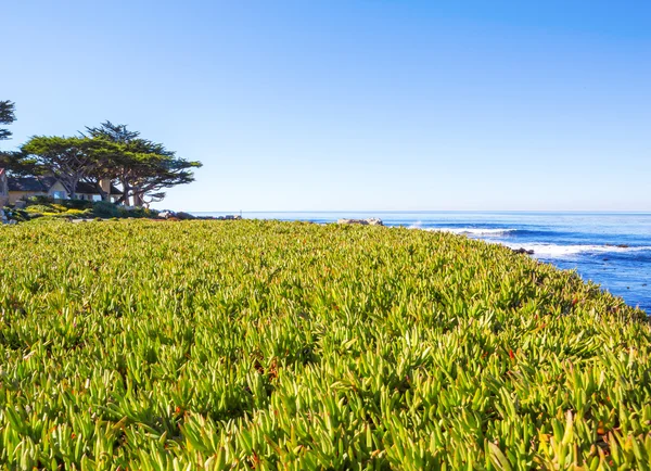 Praia. Noroeste do Pacífico a norte de Seattle . — Fotografia de Stock