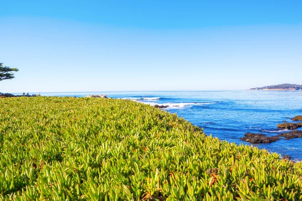 Praia. Noroeste do Pacífico a norte de Seattle . — Fotografia de Stock