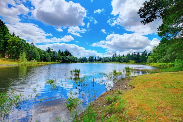 Paesaggio estivo con fiume e cielo blu. Isola di McNiel, Washington — Foto Stock