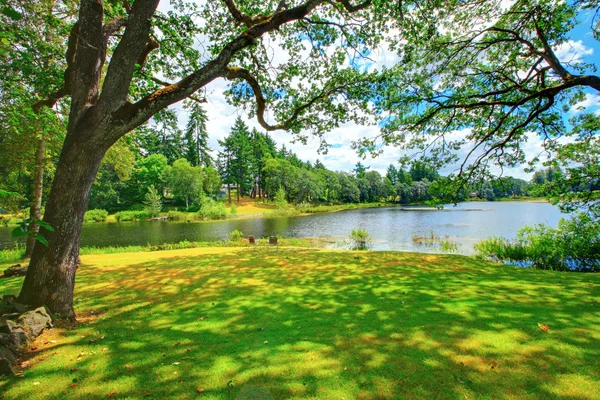 Letni krajobraz na brzegu rzeki z dwoma krzesłami. Mcniel island, Washington — Zdjęcie stockowe