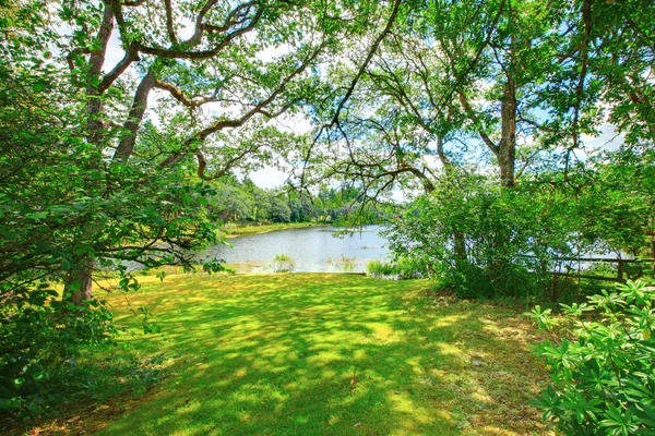 Paesaggio estivo con alberi e vista sull'acqua. Isola di McNiel, Washington — Foto Stock