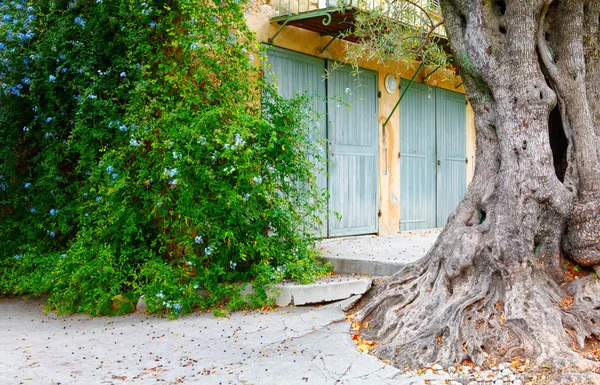 Niza, Francia - 17 de octubre de 2011: Museo Renoir cerca de Niza, Francia. Cagnes-sur-Mer - pueblo. .. La casa donde Renoir residió durante los últimos años de su vida . — Foto de Stock