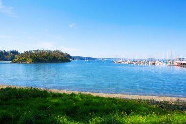 Gizemli Bay, Marrowstone Adası. Olimpiyat yarımada. Washington eyaleti. 
