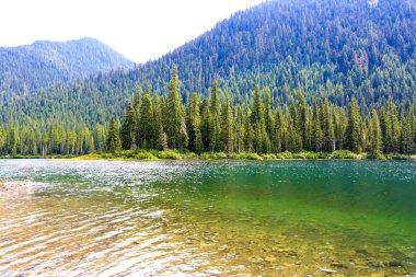 Yeşil manzara dağ gölü şeffaf su ile