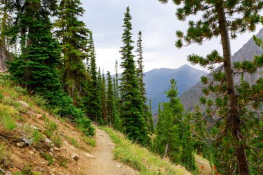 Yürüyüş için bir patika ile dağ manzarası 