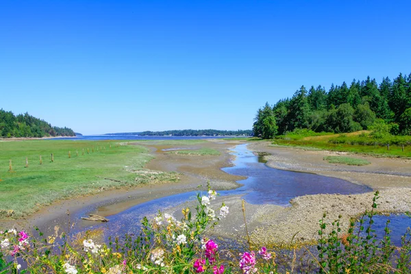 Marrowstone island. Olympic Peninsula. Washington State. — Stock Photo, Image
