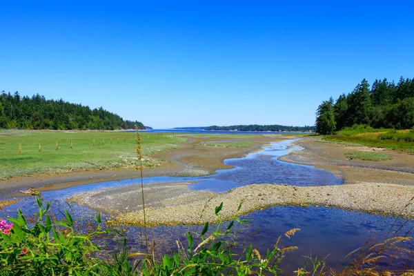 Ilha de Marrowstone. Península Olímpica. Estado de Washington . — Fotografia de Stock