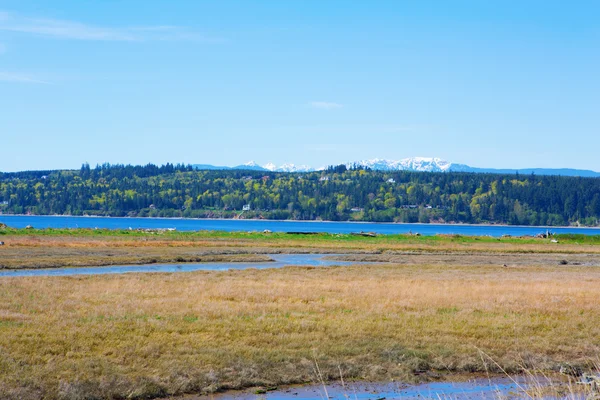 Mystery Bay, Marrowstone island. Olympic Peninsula. Washington State. — Stock Photo, Image