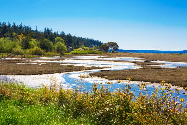 Mystery Bay, Marrowstone eiland. Olympic Peninsula. Washington State. — Stockfoto