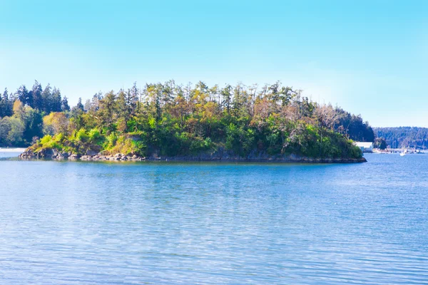 Mystery Bay, isola di Marrowstone. Penisola Olimpica. Stato di Washington . — Foto Stock