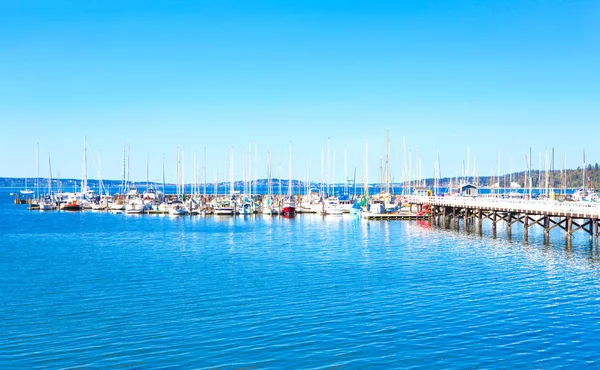 Mystery Bay, Marksteininsel. Olympische Halbinsel. Washington-Staat. — Stockfoto