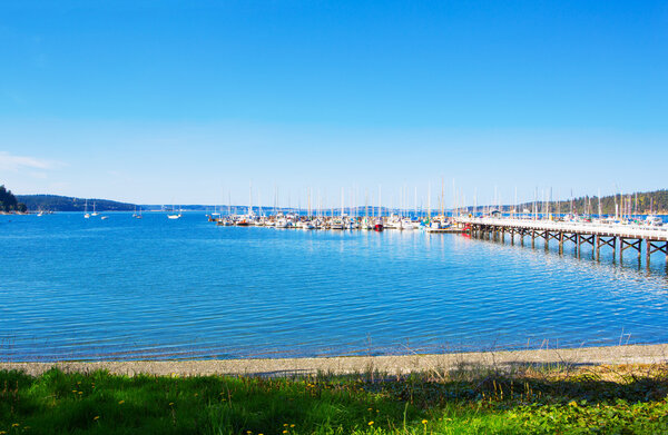 Mystery Bay, Marrowstone island. Olympic Peninsula. Washington State. 