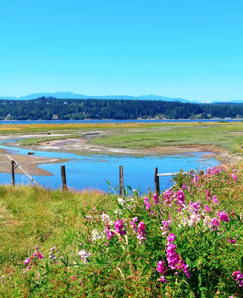 Marrowstone eiland. Olympic Peninsula. Washington State. — Stockfoto
