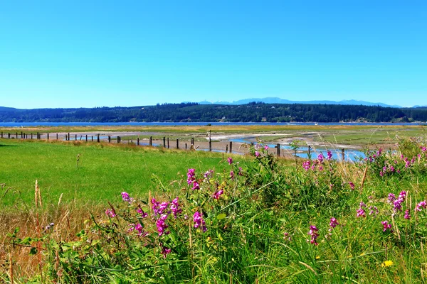 Ilha de Marrowstone. Península Olímpica. Estado de Washington . — Fotografia de Stock