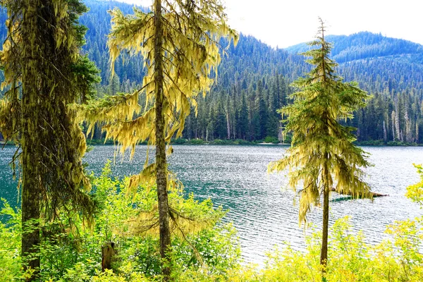 Paenic Mountain lago verde con acqua trasparente — Foto Stock