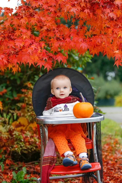 Fiesta de Halloween. niña sentada junto a una calabaza —  Fotos de Stock