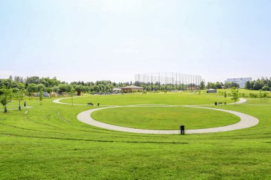 Yeşil çim ile parkta güzel çayır