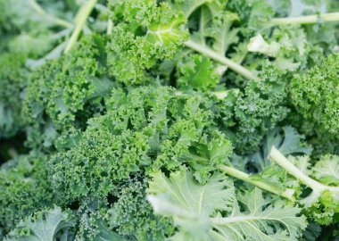 Bir arka plan üzerinde organik çiğ yeşil lahana 