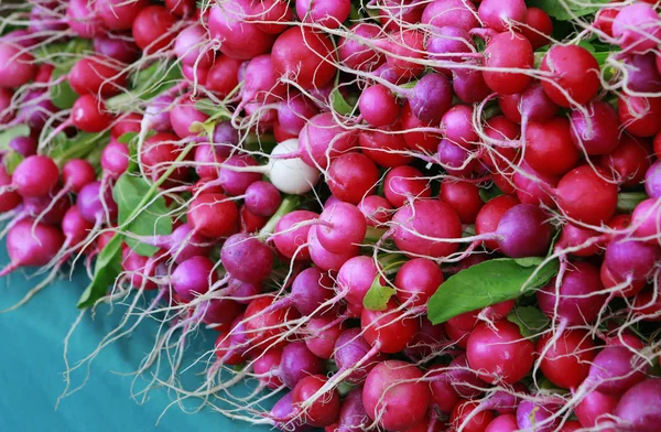 Rábanos rojos de jardín pequeños orgánicos crudos en el mercado —  Fotos de Stock