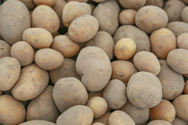 Full frame background of whole raw farm fresh golden potatoes — Stock Photo, Image