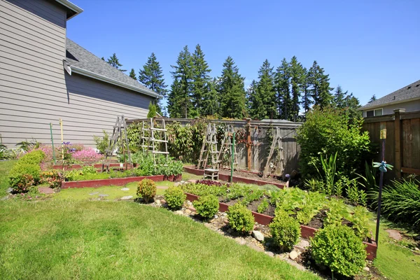 Small vegetable garden with risen beds in the fenced backyard. — Stock Photo, Image