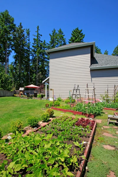 Kleiner Gemüsegarten mit Hochbeeten im Hinterhof in der Nähe des Hauses. — Stockfoto