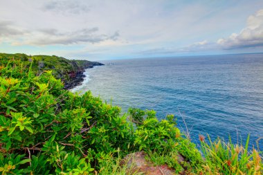 Okyanus Manzaralı Hana, Maui, Hawaii giden yolda