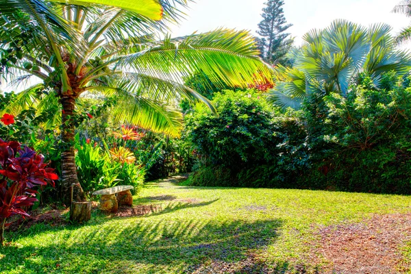 Garden of Eden, Maui Hawaii — Stock Fotó