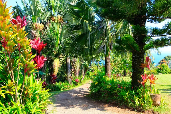 Un giardino tropicale. Giardino dell'Eden, Maui Hawaii — Foto Stock