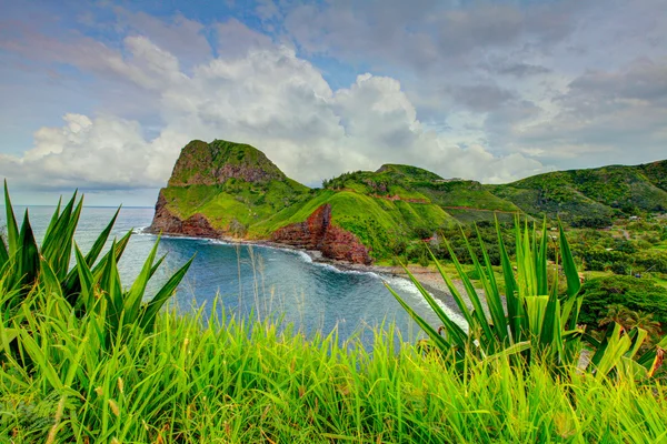 Vista para o mar. Relva em primeiro plano. Estrada para Hana, Maui, Havaí — Fotografia de Stock