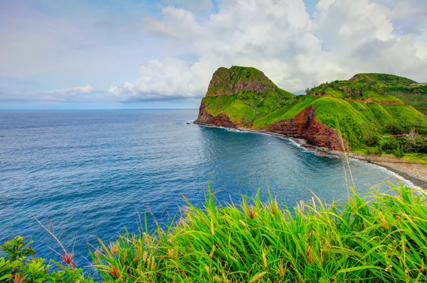 Vista para o mar. Relva em primeiro plano. Estrada para Hana, Maui, Havaí — Fotografia de Stock