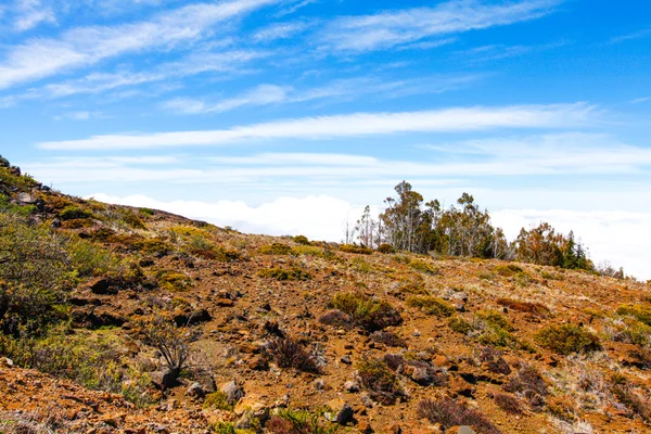 Landschap van Haleakala National Park, Maui, Hawaï — Stockfoto