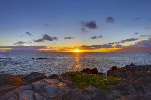 Île de Maui côte de falaise tropicale avec océan . — Photo