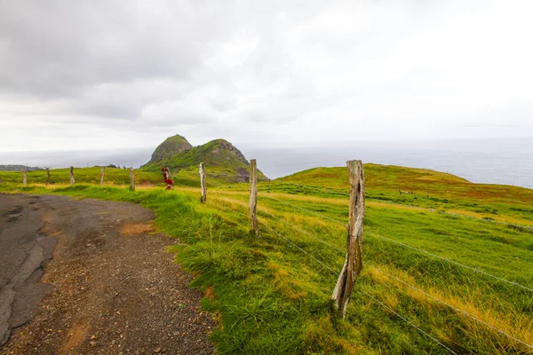 Stig på ön Maui Tropical Cliff Coast linje med Ocean. — Stockfoto