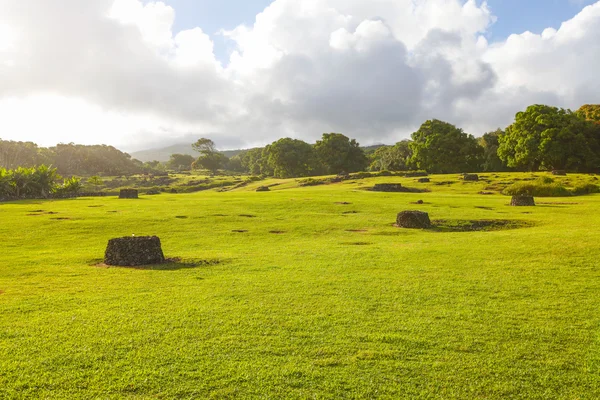 Large green field. Sunny day and cloudy sky. — Stock Photo, Image