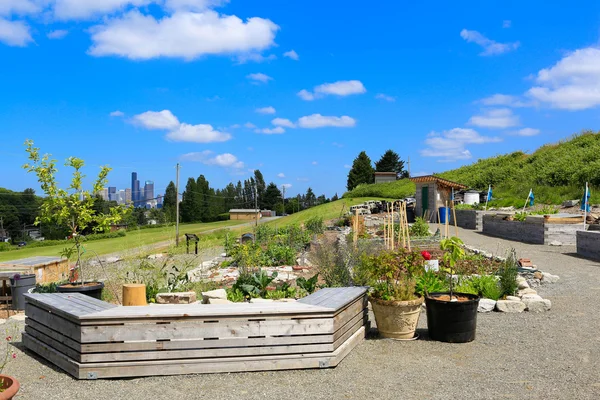 Un petit jardin. Seattle en arrière-plan — Photo