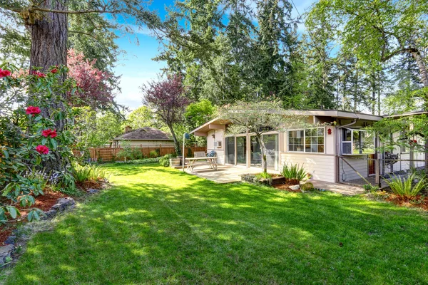 Summer back yard with small american house — Stock Photo, Image