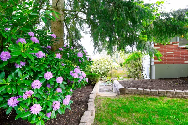 Jardim quintal verde com passarela telha de tijolo . Fotografias De Stock Royalty-Free