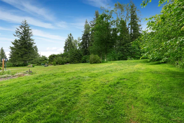 Farm house backyard with green lawn, fir trees, bushes — Stock Photo, Image