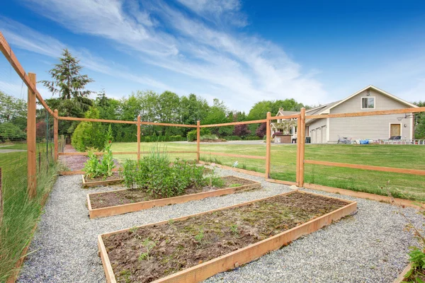 フェンスで囲まれた裏庭で上がったベッドと小さな菜園 — ストック写真