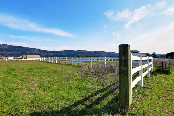 Ruime achtertuin met groen gazon en wit hek. — Stockfoto