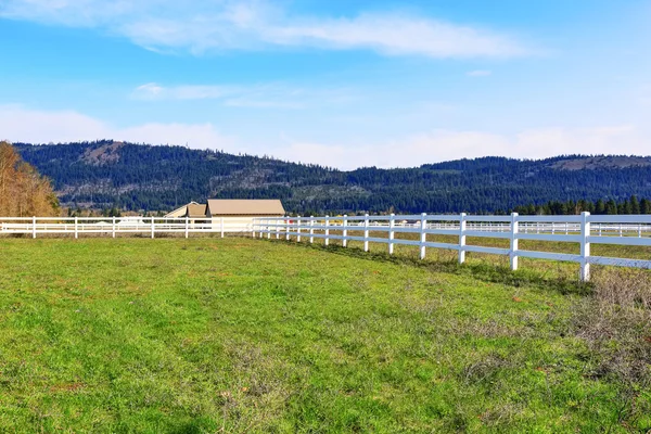 Ruime achtertuin met groen gazon en wit hek. — Stockfoto